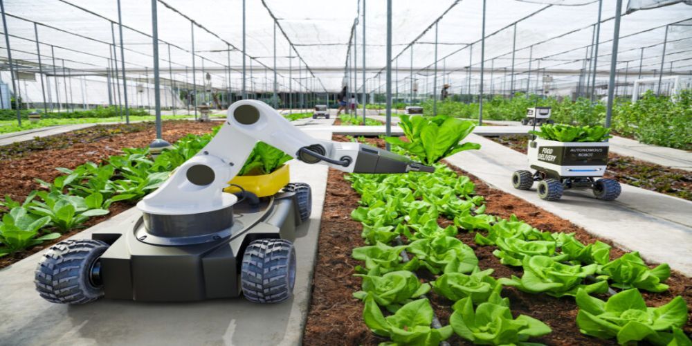 Agrotech (1)