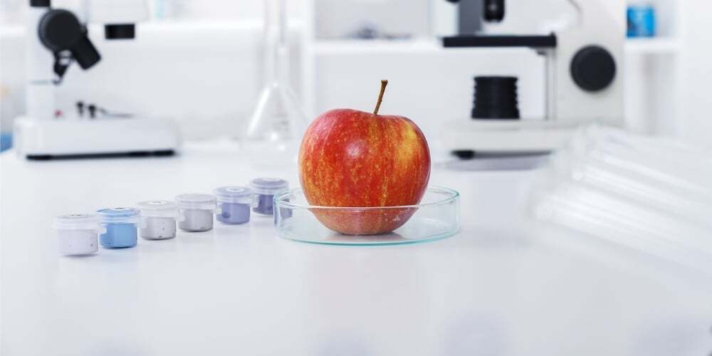 BIOTECH AGTECH ALIMENTOS FOOD