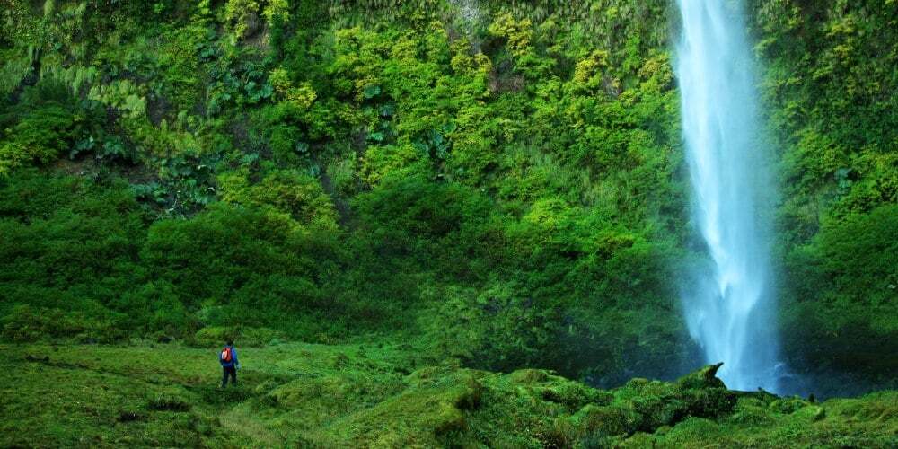 BONO VERDE TURISMO