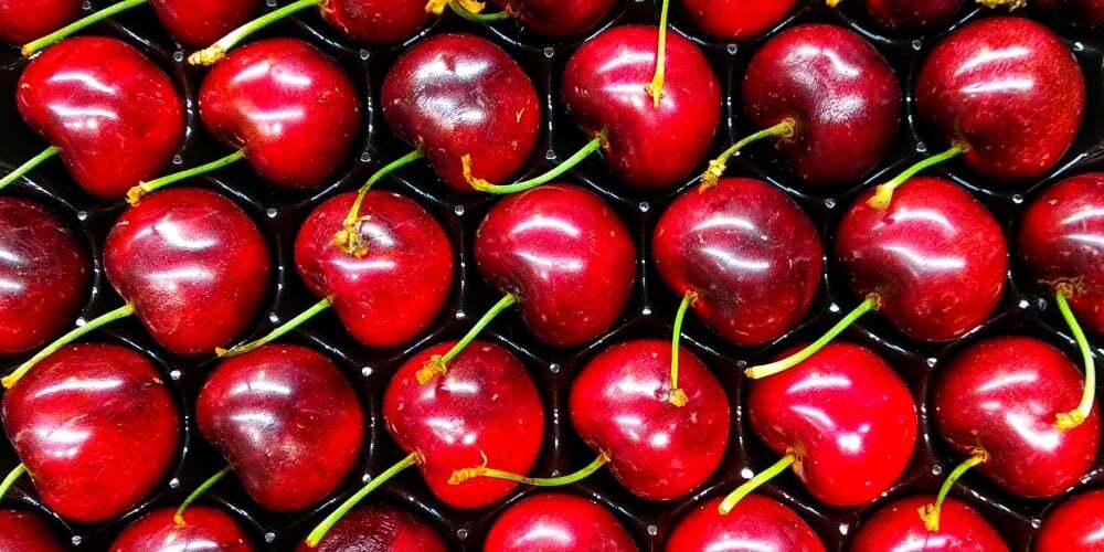 cerezas