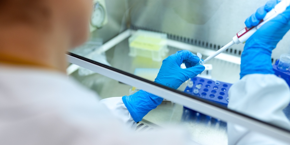 investigacion desarrollo i+d