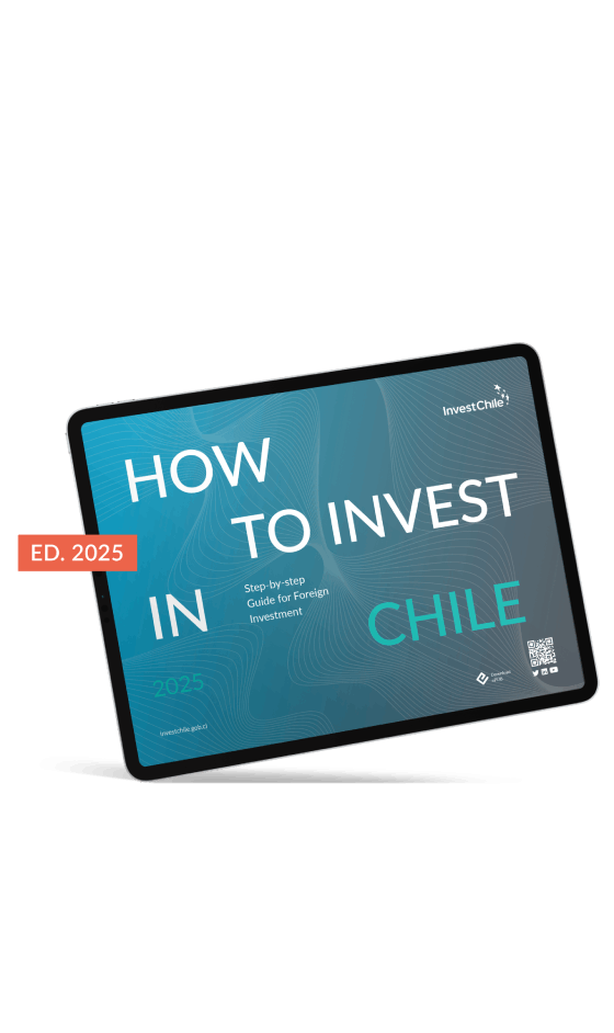 Invest_guia inversionista ángulo_año (1)