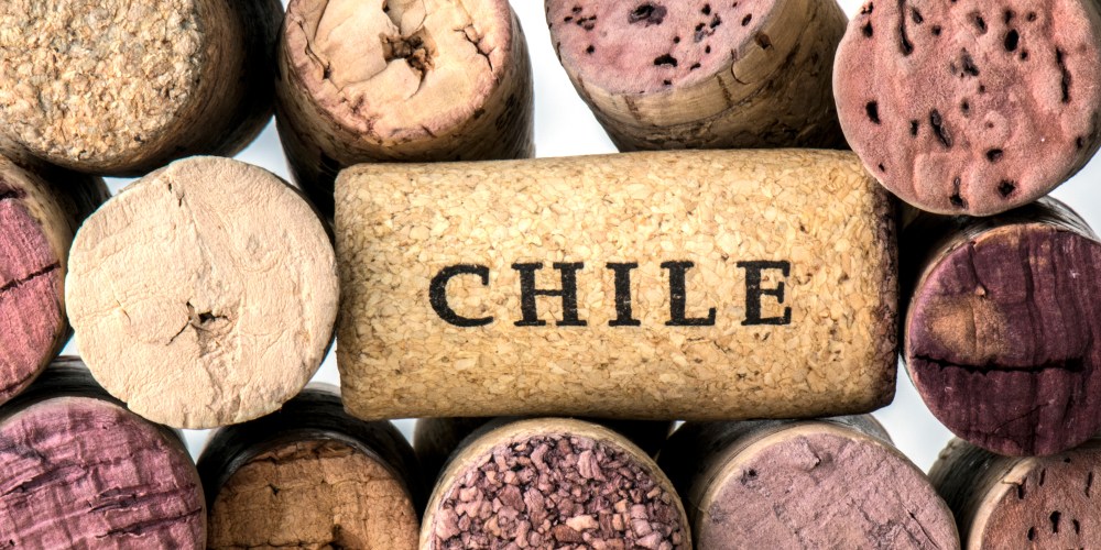 vino chile wine