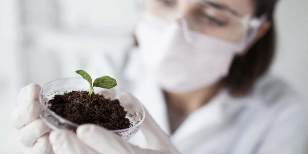 R&D: The Achievements of Chile’s Centers of International Excellence