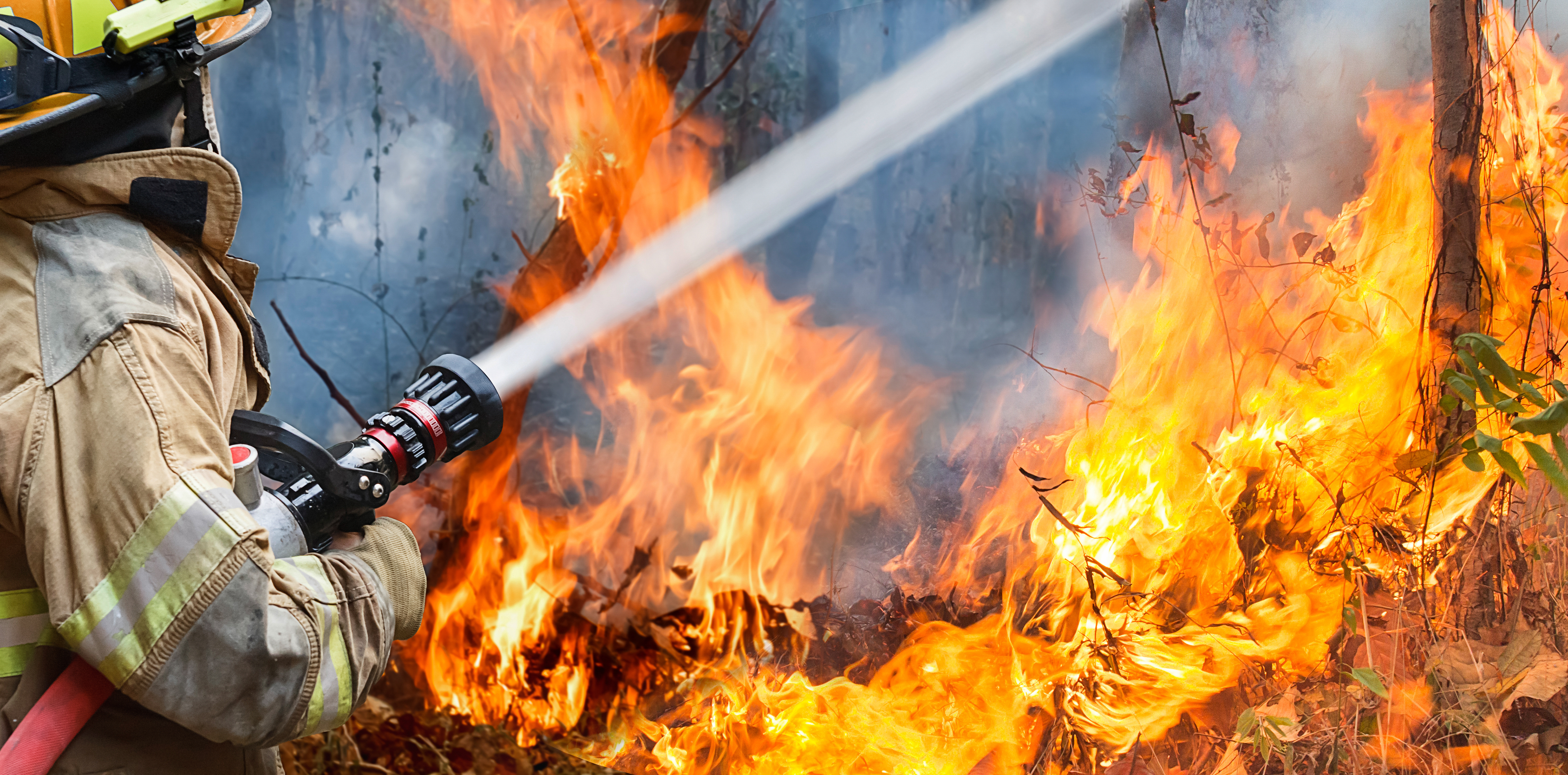 Foreign investors respond to wildfire emergency