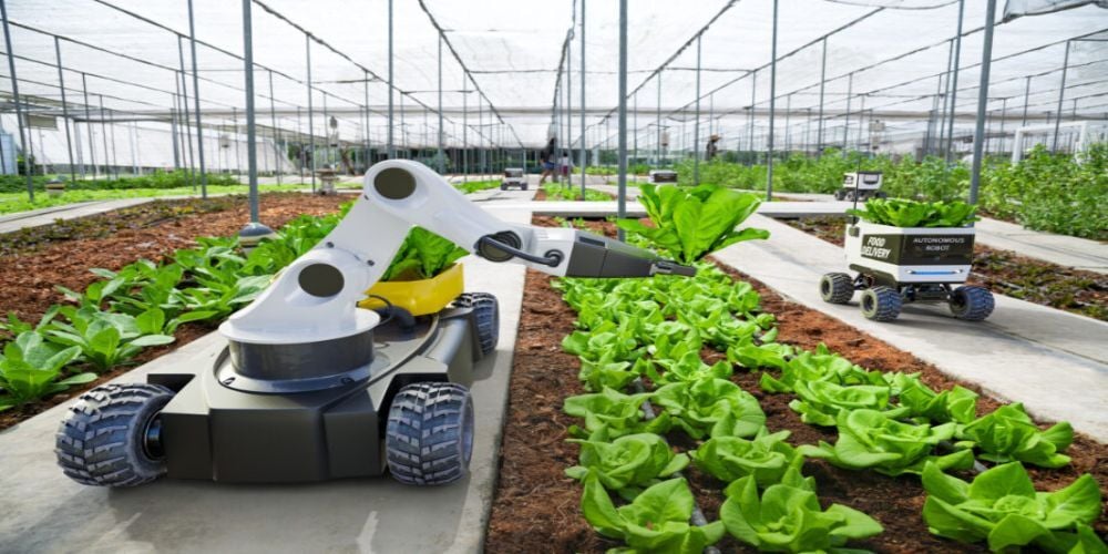 Invertir en agrotech en Chile: ¿Por qué es atractivo?