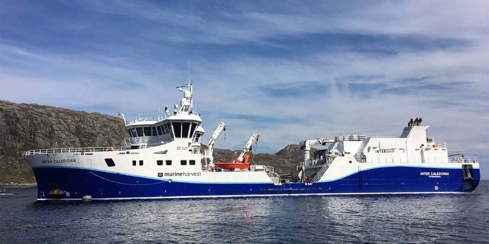 Firma noruega transportará salmones en Chile