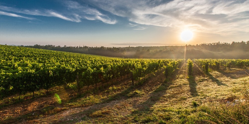 France’s TerraNIS establishes a subsidiary in Chile