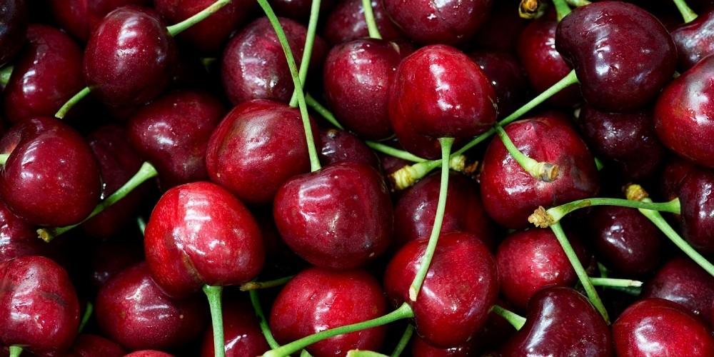 Driven by Chinese demand, exports of cherries and berries beat record