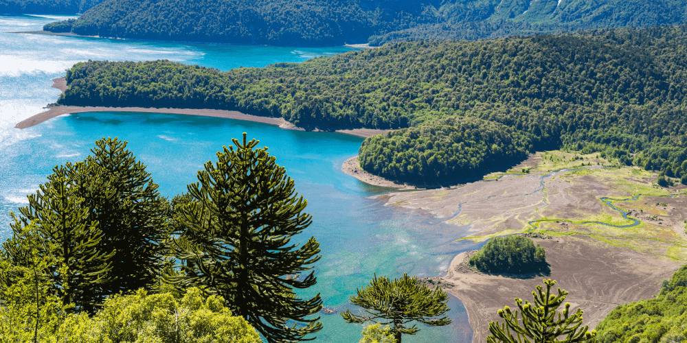 How to Invest in Chile: Environmental Assessment