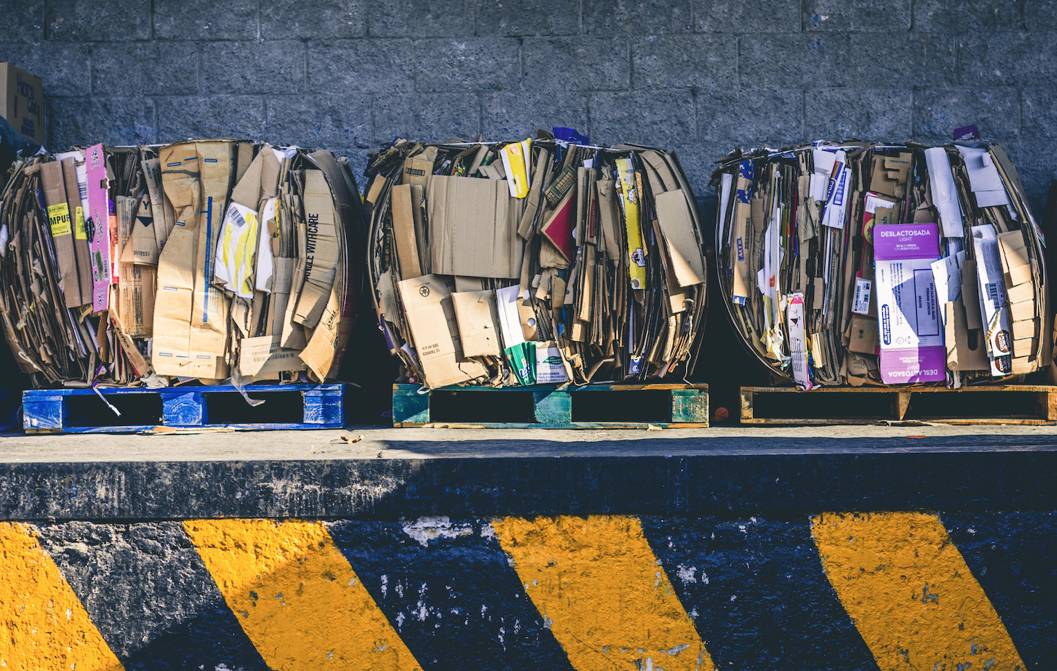 Software made in Chile apunta a que las empresas logren cero basura