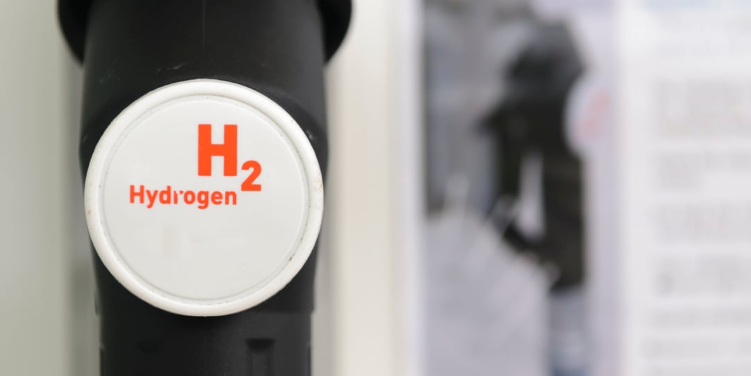 Government presents green hydrogen diplomacy to attract FDI