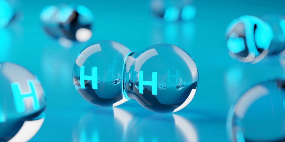 Companies from 5 countries are interested in Chilean green hydrogen