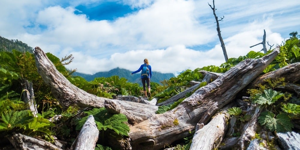 Road and digital infrastructure to connect 17 parks in Patagonia
