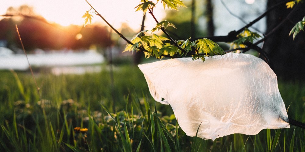 Chile is the first country in the Americas to ban plastic bags