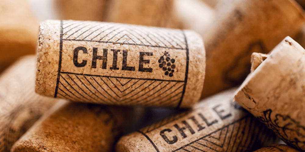 González Byass&nbsp;acquires Veramonte and&nbsp;Neyen Apalta Estate&nbsp;vineyards