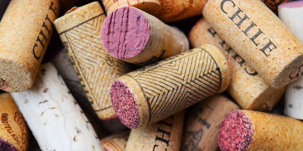 Chile is one of the world’s most sustainable wine-producing countries