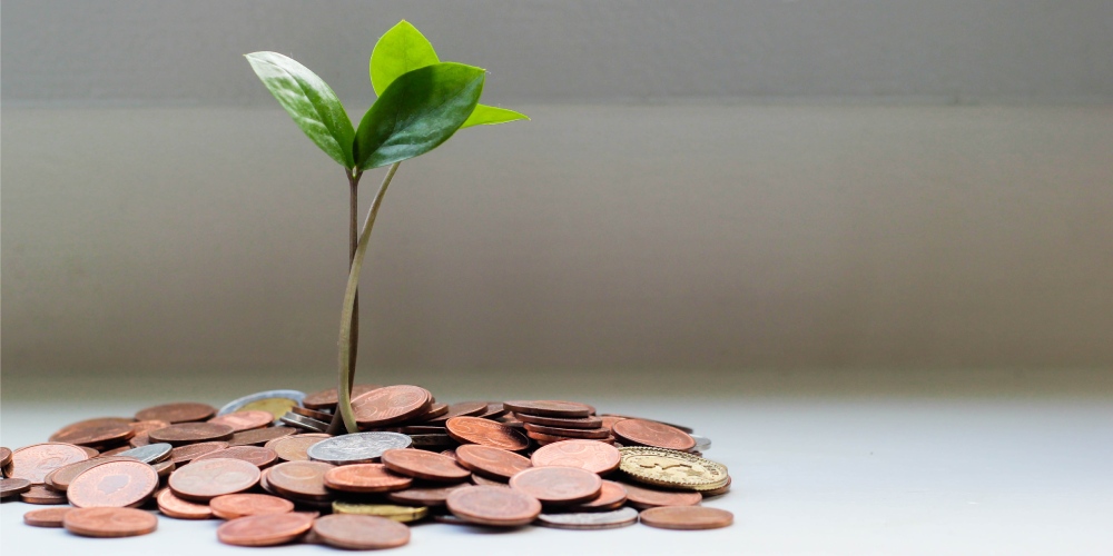 5 bancos centrales del mundo y sus medidas para combatir el Covid-19