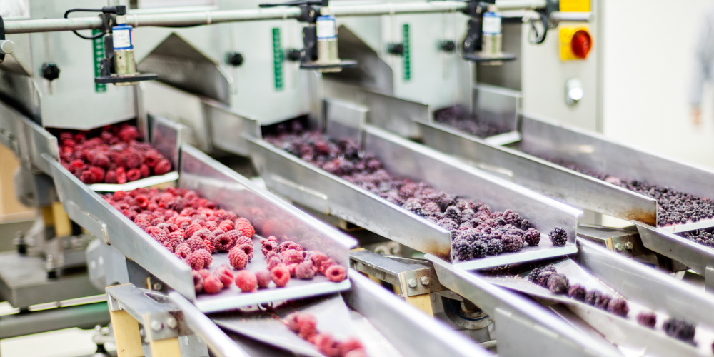 Cold chain infrastructure: opportunities for the agrifood sector
