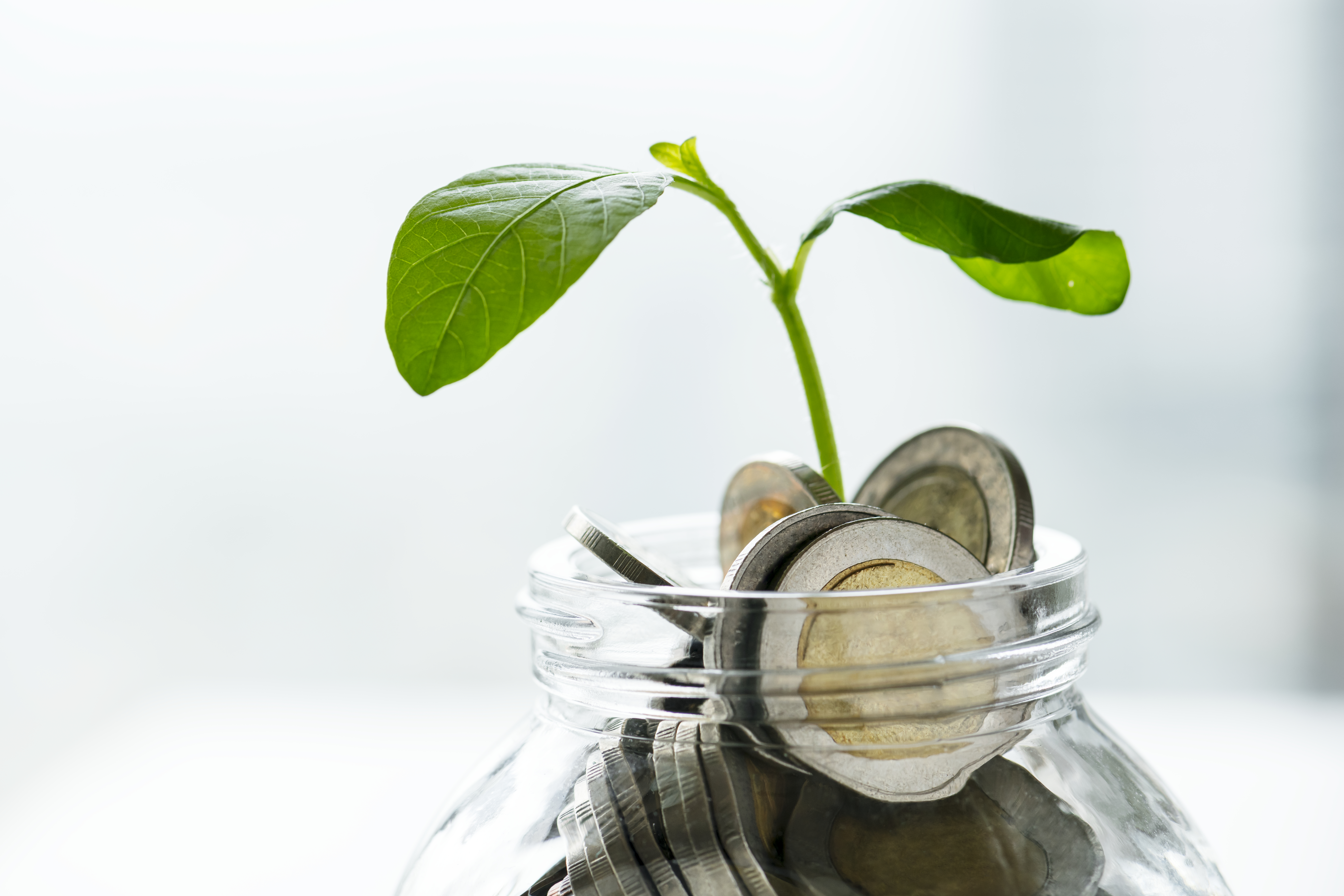 COVID-19: Cómo el Banco Central enfrenta el impacto financiero