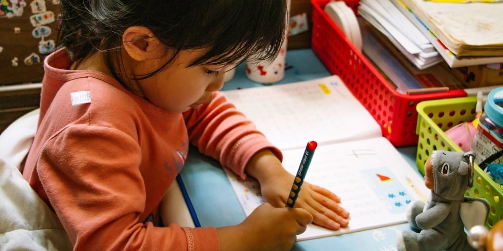 Chile maintains top regional place in Human Development Index